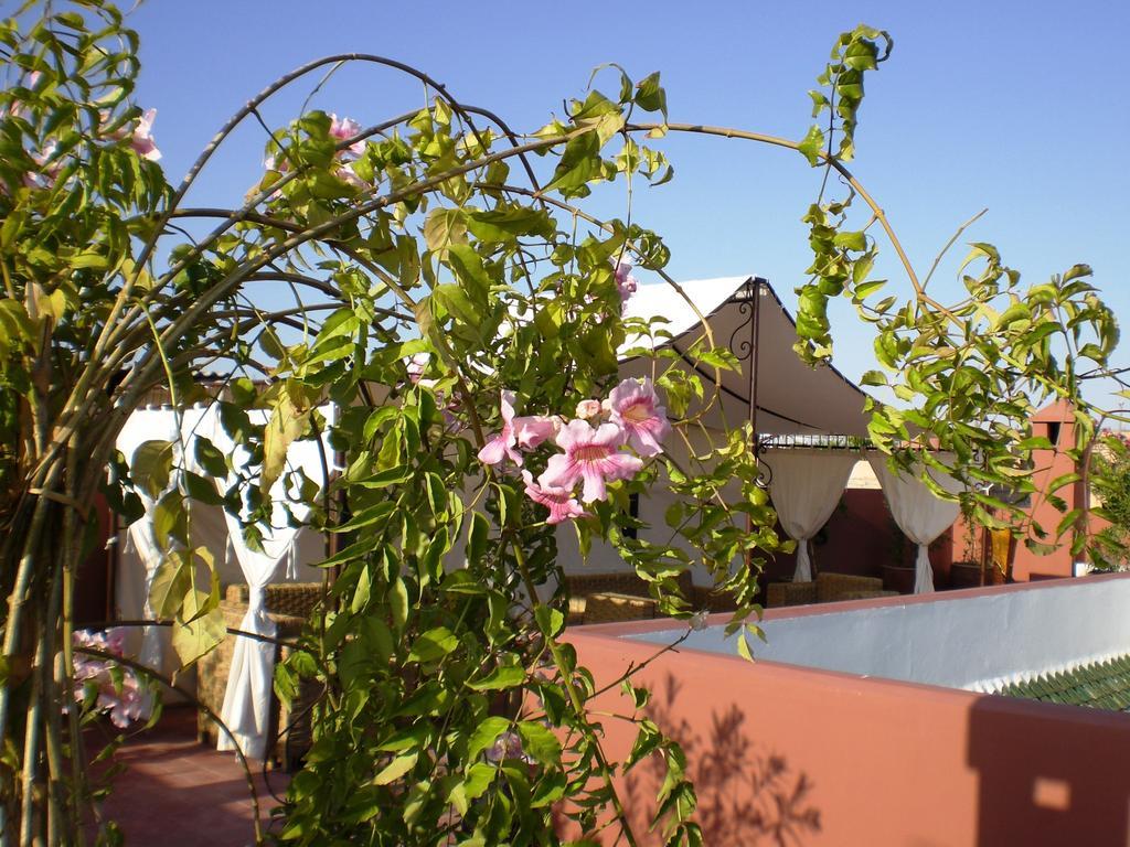 Riad Mariana Marraquexe Exterior foto